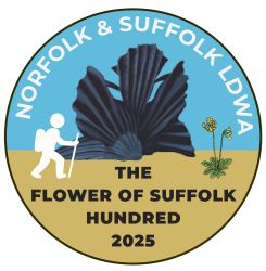 Flower of Suffolk Hundred 2025