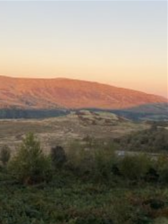 Scotland Winter Trail Race Championships