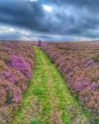 Akeld to Wooler 10k