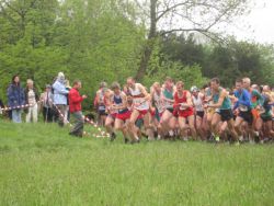 Hutton Roof Crags Fell Race