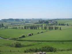 Icklesham 8km Trail Race