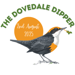 The Dovedale Dipper